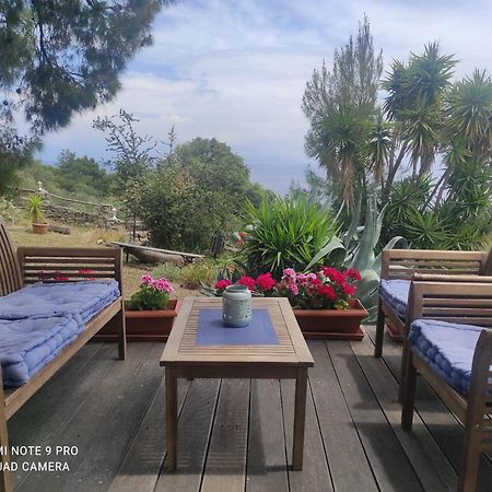 Villa Athos Сарти Екстериор снимка