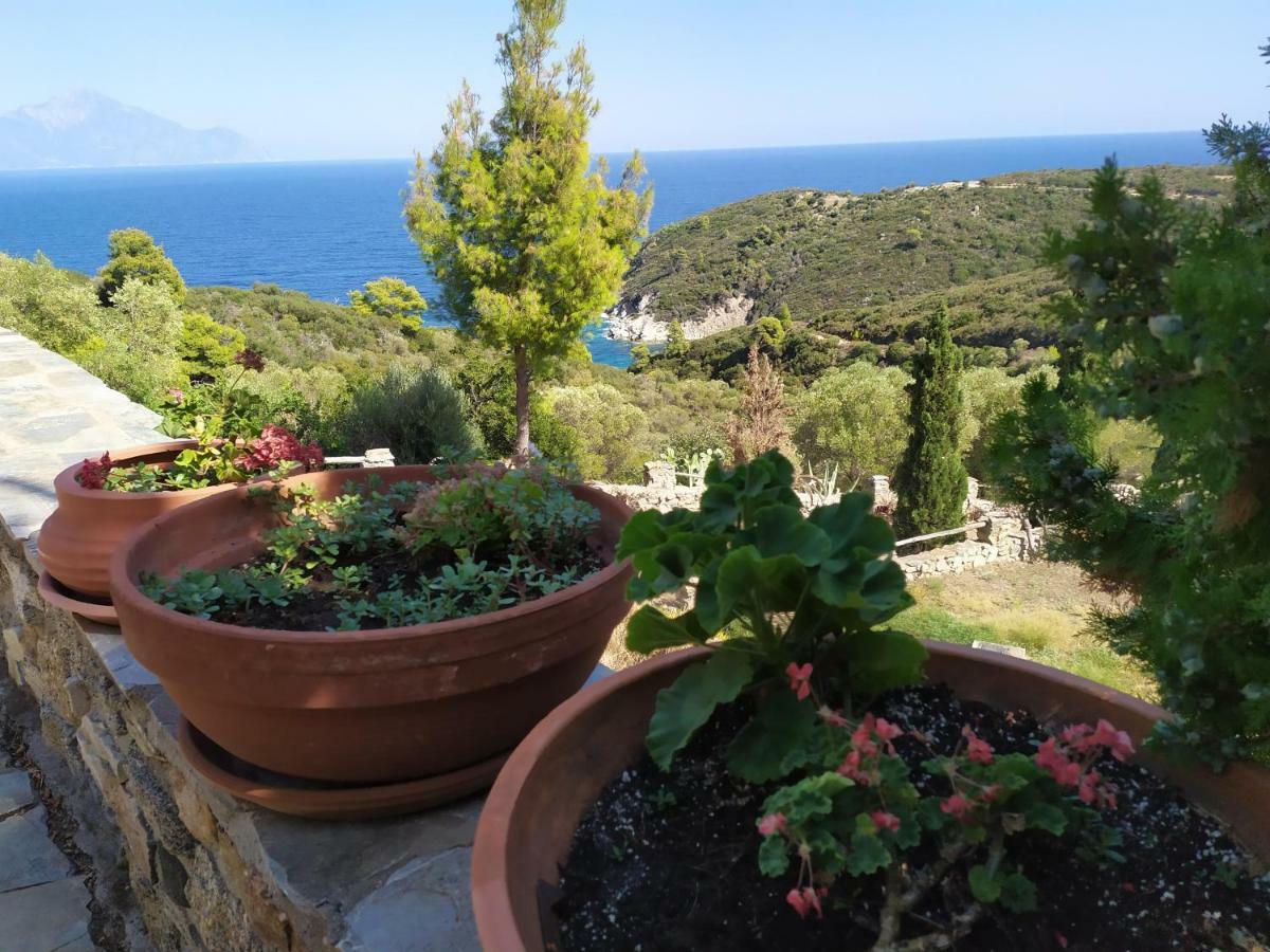 Villa Athos Сарти Екстериор снимка